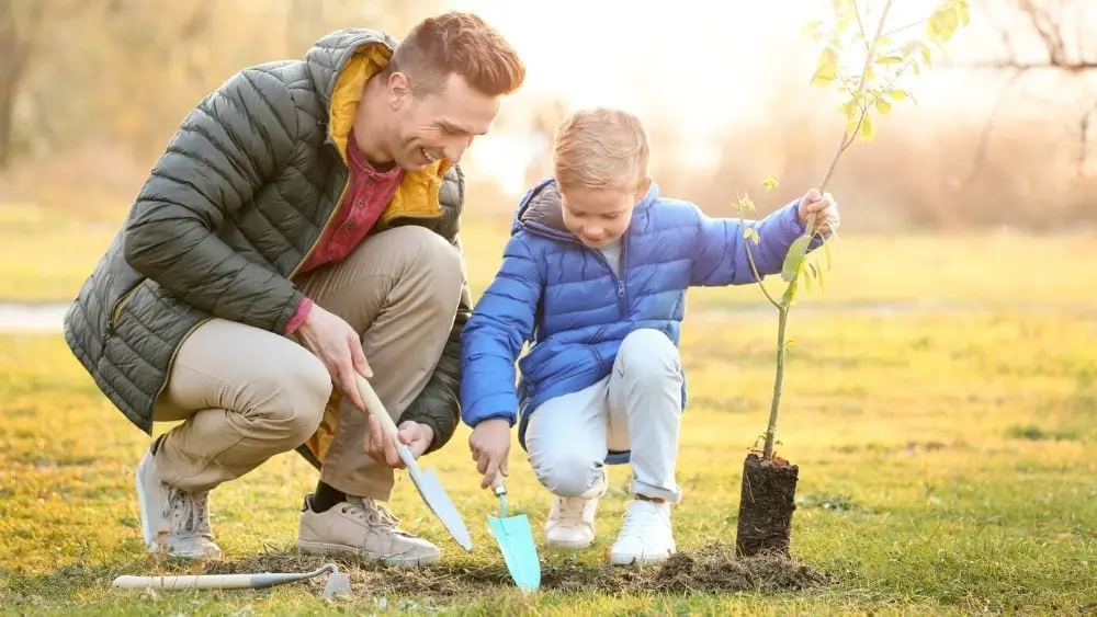 papa e hijo plantando