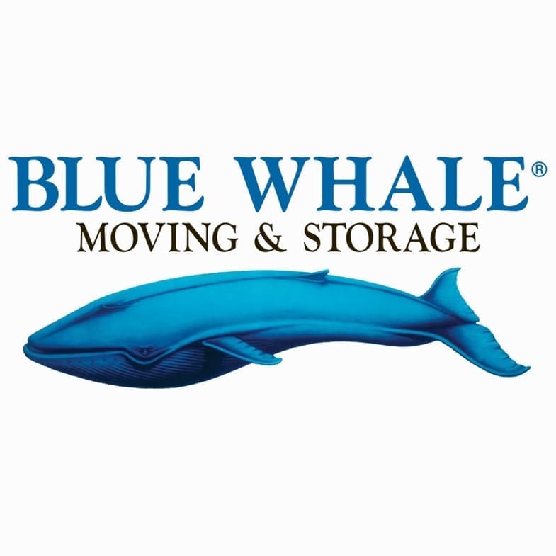 blue-whale-mover