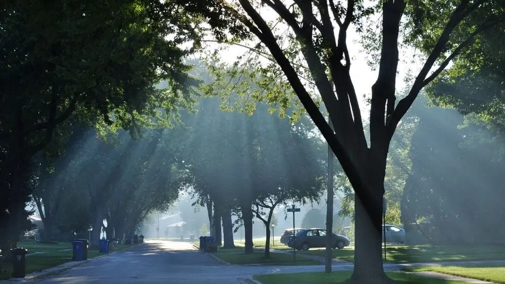 parque en mount prospect illinois