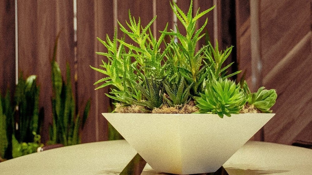Plantas artificiales para decoración de interiores y exteriores NC