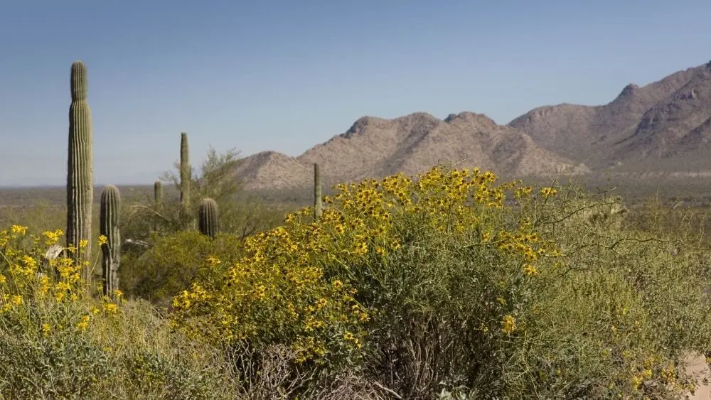 Eloy, Arizona