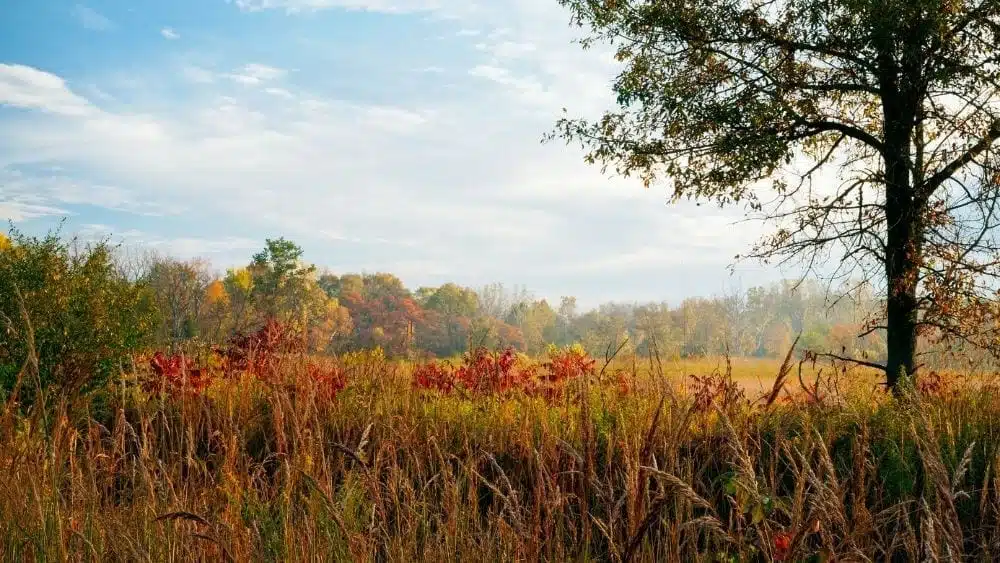 Vista panorámica de Danville