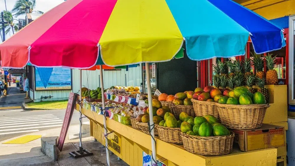 Las 10 ciudades más económicas de Hawái Casas Nuevas Aqui