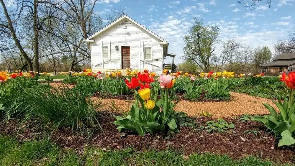 Edificio rústico con tulipanes en Beloit, Wisconsin.