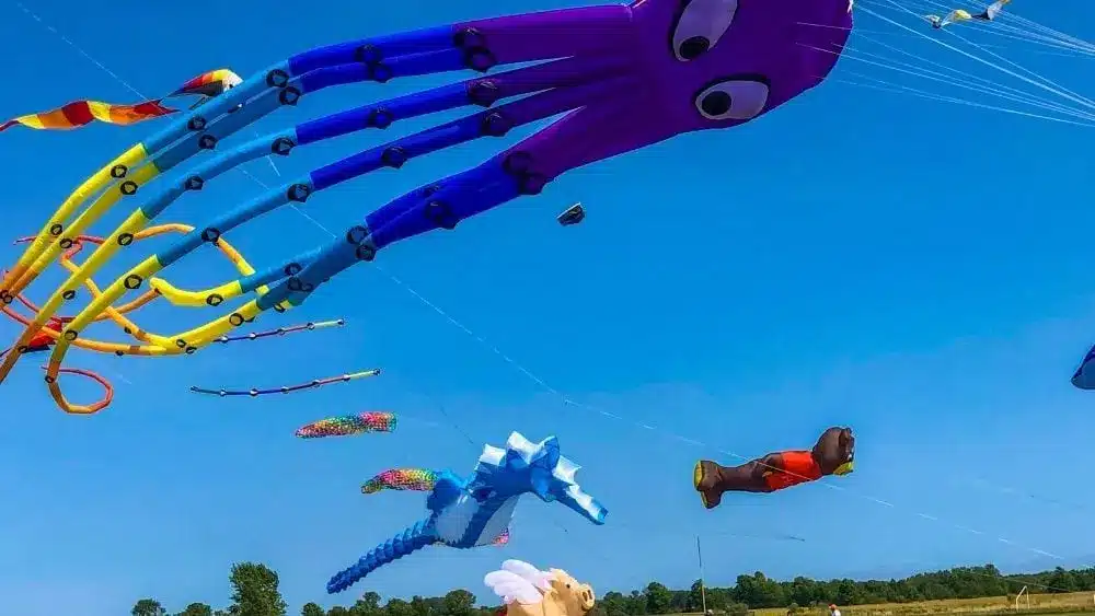 Cometas voladas en Two Rivers, Wisconsin